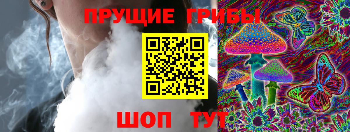 Галлюциногенные грибы Psilocybe Шебекино