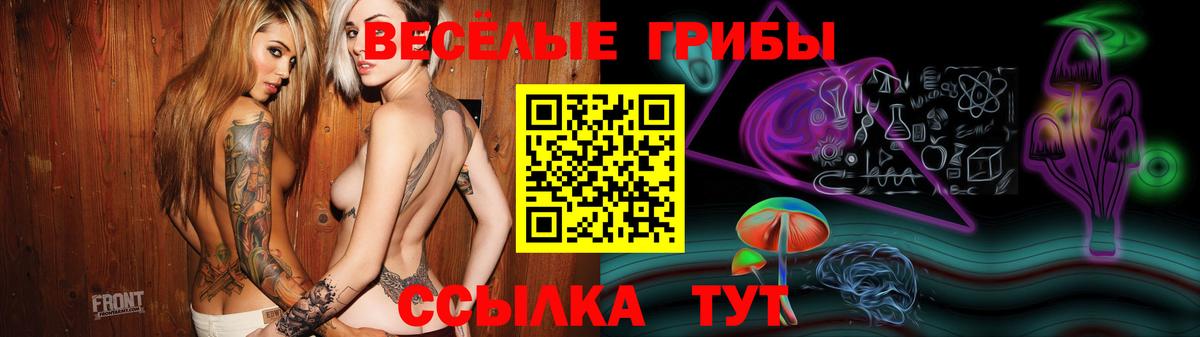 Галлюциногенные грибы прущие грибы  Галлюциногенные грибы GOLDEN TEACHER  Вход с VPN  Шебекино 